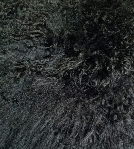 Large black mongolian - large,