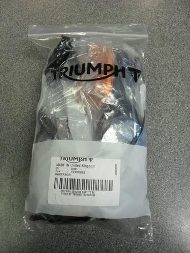 Triumph daytona speed triple - triumph,