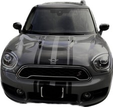 19" Rally stripes Stripe fit