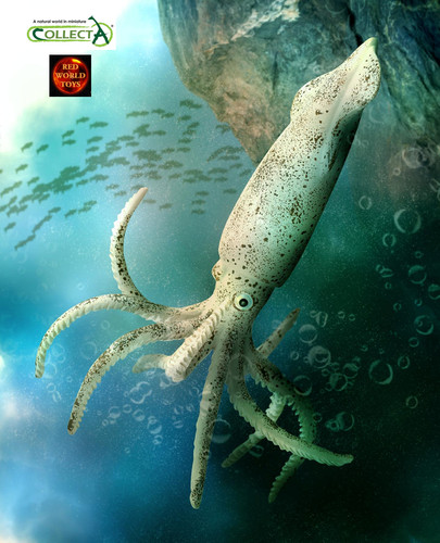 Belemnite prehistoric sealife - prehistoric,