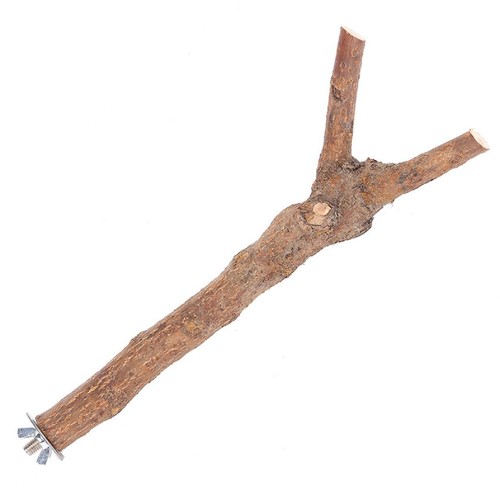 Bird perch branch happy - bird,