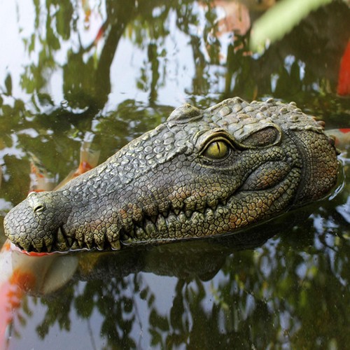 Floating alligator head - floating,