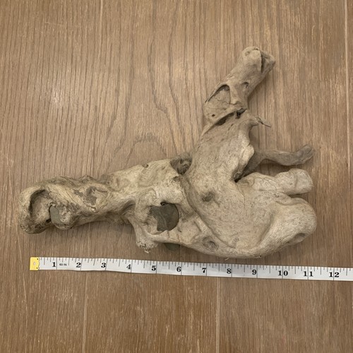 Drift wood root with rocks - drift,