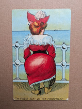 OLD POSTCARD NPC LARGE WOMAN ARTIST SEASIDE COMIC SHIP PROMENADE 1900S DR 821
