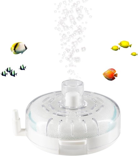 Aquarium small fish tank - small,