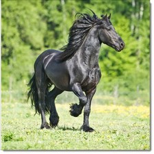 Doodlecards Happy Birthday