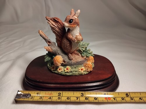 Squirrel the leonardo - squirrel.,