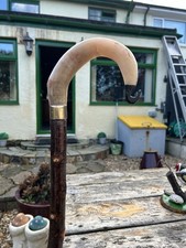 Shepards Croock Rams Horn Hazell Shanck Brass Collar Plus Ferruell 47” Long