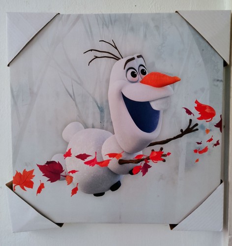 New disney frozen canvas - new,