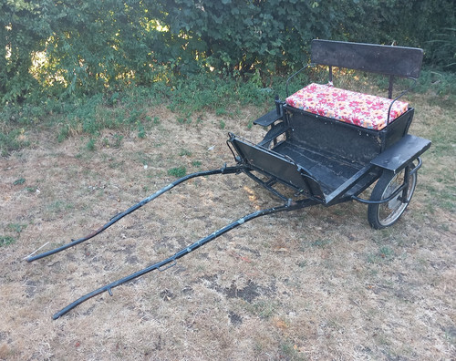 Black wheel horse - black, 2-wheel