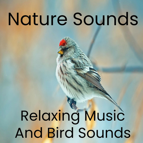 Relaxing bird sounds - sounds, &
