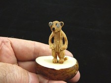 (TNE-MEE-335-B) MEERKAT