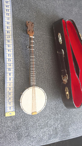 String banjo closed back - banjo,