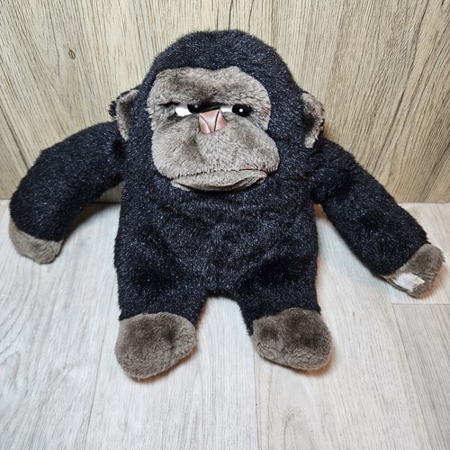 Side eye gorilla chimp monkey - eye,
