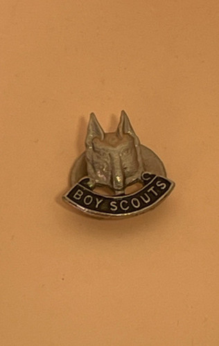 Vintage 1950s boy scouts - 1950s,