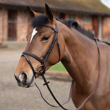 Mark Todd Double Raised Bridle