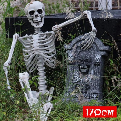 170cm halloween skeleton life - halloween,