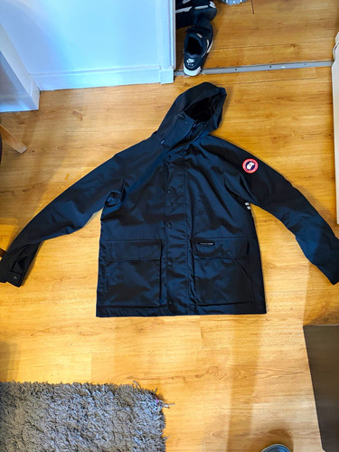 Canada goose arctic - canada,