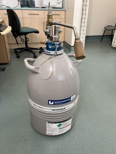 25l liquid nitrogen - 25l, dewar