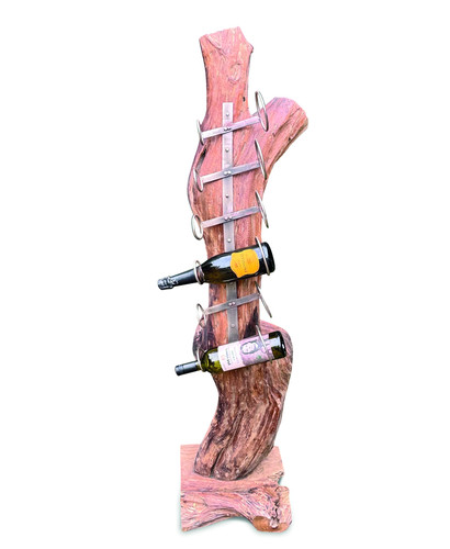 Teak root sculpture - root, rack