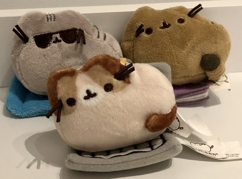 Pusheen places cats - pusheen,