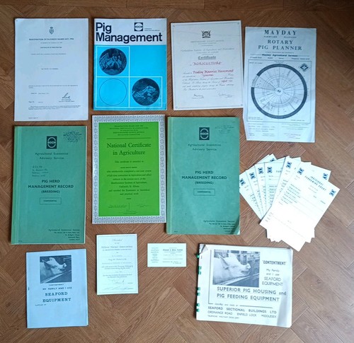 Vintage job lot pig - job,