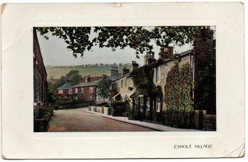 540 printed postcard esholt - 540/,