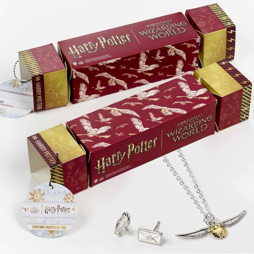 Christmas gift cracker harry - christmas,