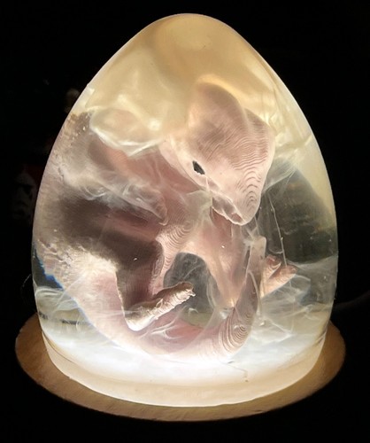Printed and resin - and,