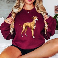 Saluki Dog Sighthound Animals