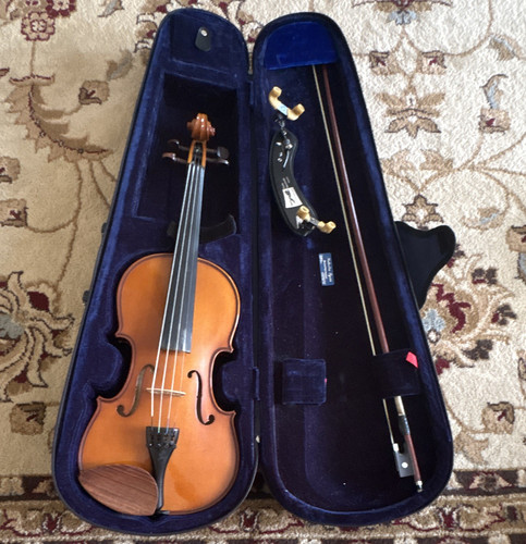 Acoustic violin brown - acoustic,