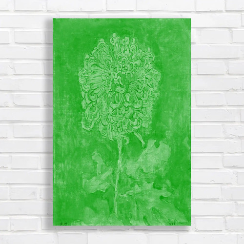 Floral chrysanthemum green - floral,