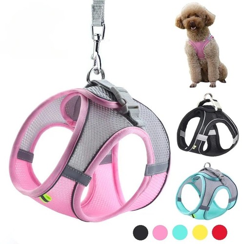 Dog harness and leash - leash, set