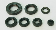 TourMax Engine Oil Seal Kit