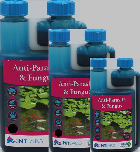 Labs anti parasite - &, fungus