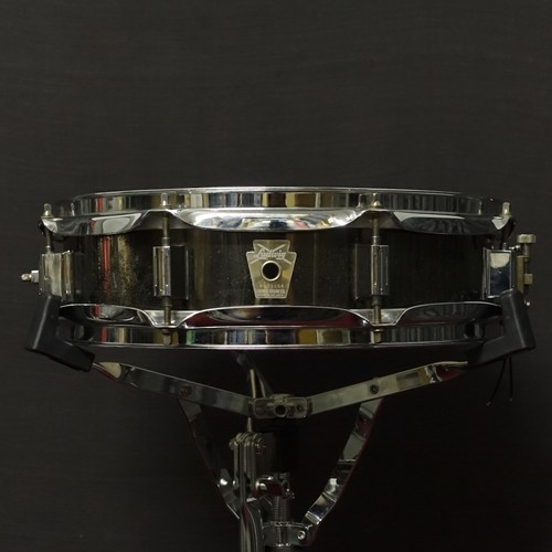 Ludwig black beauty - ludwig,