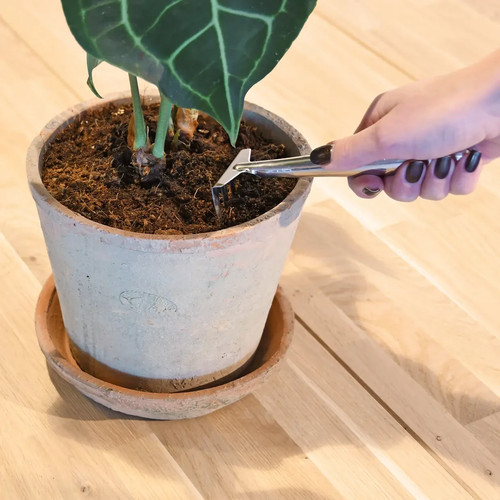 Indoor garden plant rake - indoor,