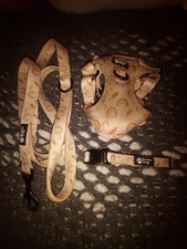 Matching dog collar, lead and harness size S peachy colour with rainbow design