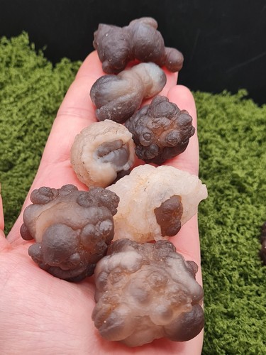 Panda agate truffle - panda, chalcedony
