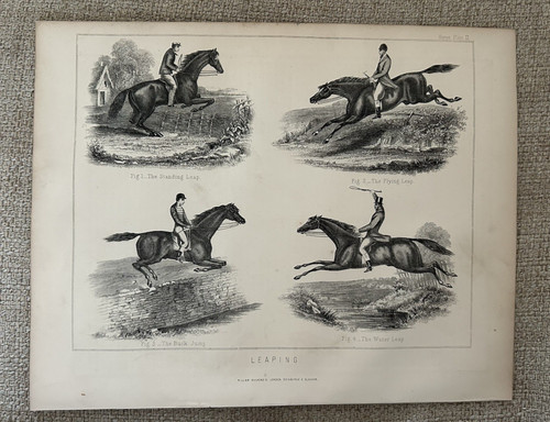 Antique horse jumping - antique,