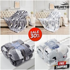 Large Teddy Fleece Throw