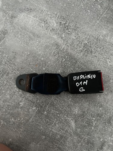 30001329 right rear belt - right,