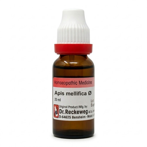 Reckeweg apis mellifica - apis,