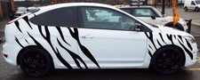 TIGER STRIPES 3 VINYL FOCUS ST