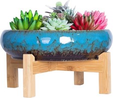 ARTKETTY Succulent Plant Pot - Large Bonsai Pot with Stand Shallow Cactus Plant