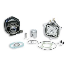 Malossi D 40 50cc Cast Iron