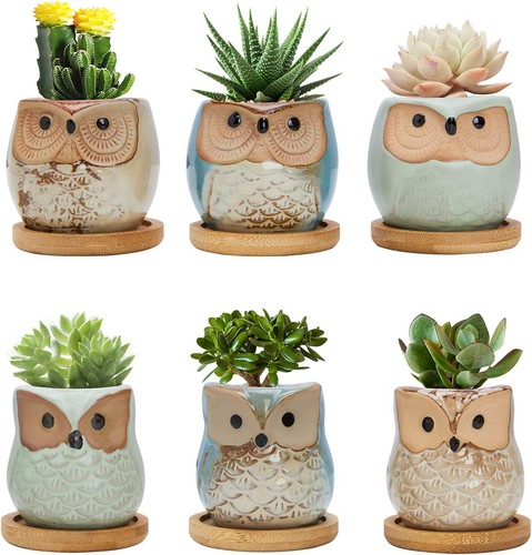 Foragift owl succulent pots - foragift,