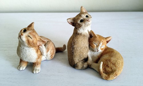 Sherratt simpson cat - x,
