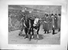 Original Old Antique Print