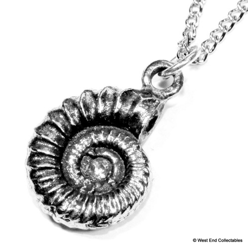 Fossil ammonite pewter - fossil,